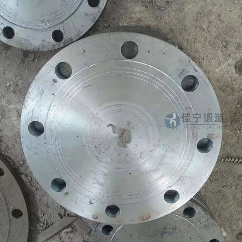 海南儋州环保管件厂铝法兰案例